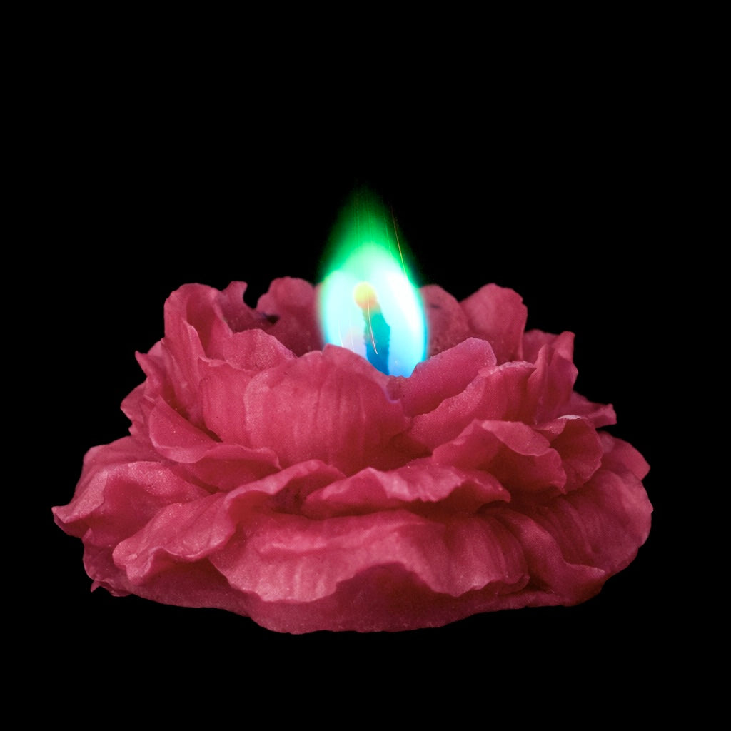 Burgundy Rose - colored flame candle