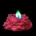 Burgundy Rose - colored flame candle
