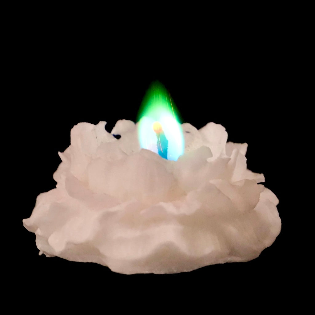 Schneerose – eine Kerze mit farbiger Flamme