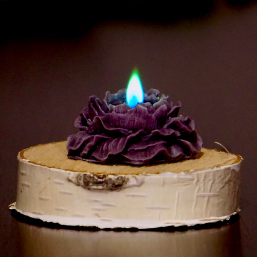 Ciemnofioletowa swieca w ksztalcie rozy z niebiesko-zielonym plomieniem na drewnianym krazku