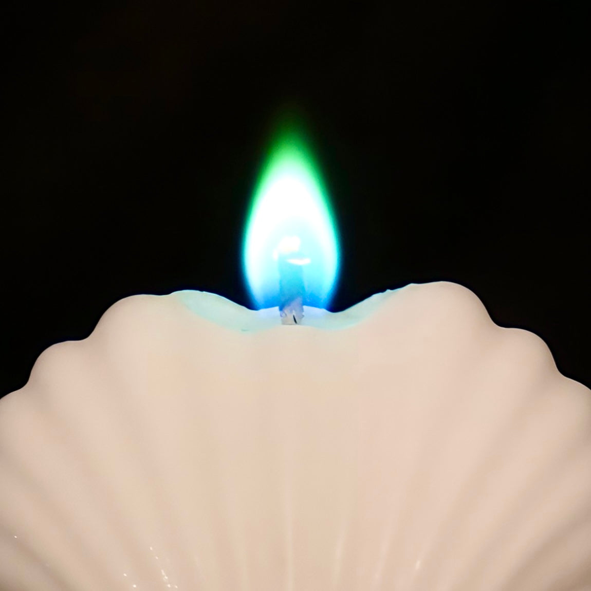 Biala swieca w ksztalcie muszli z niebiesko-zielonym plomieniem na czarnym tle