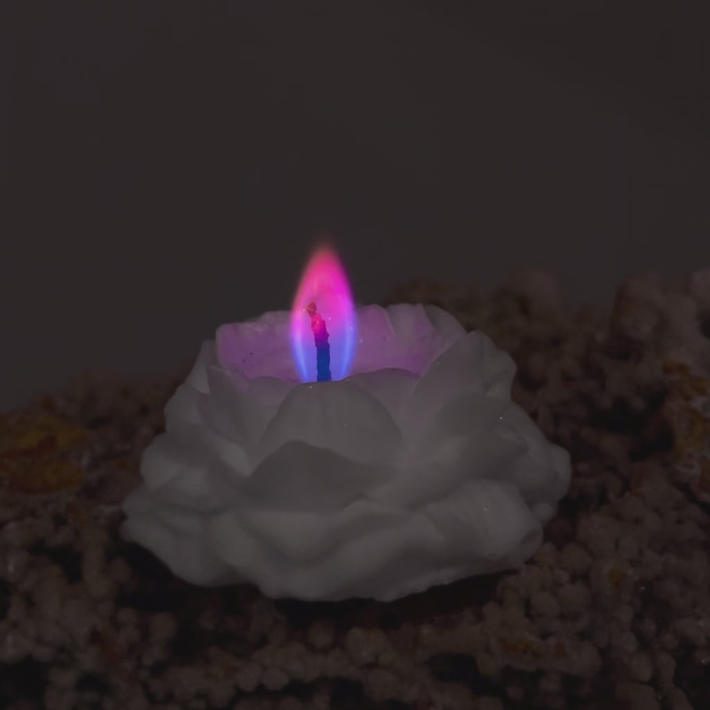 No. 2 – rose candle with a colored flame