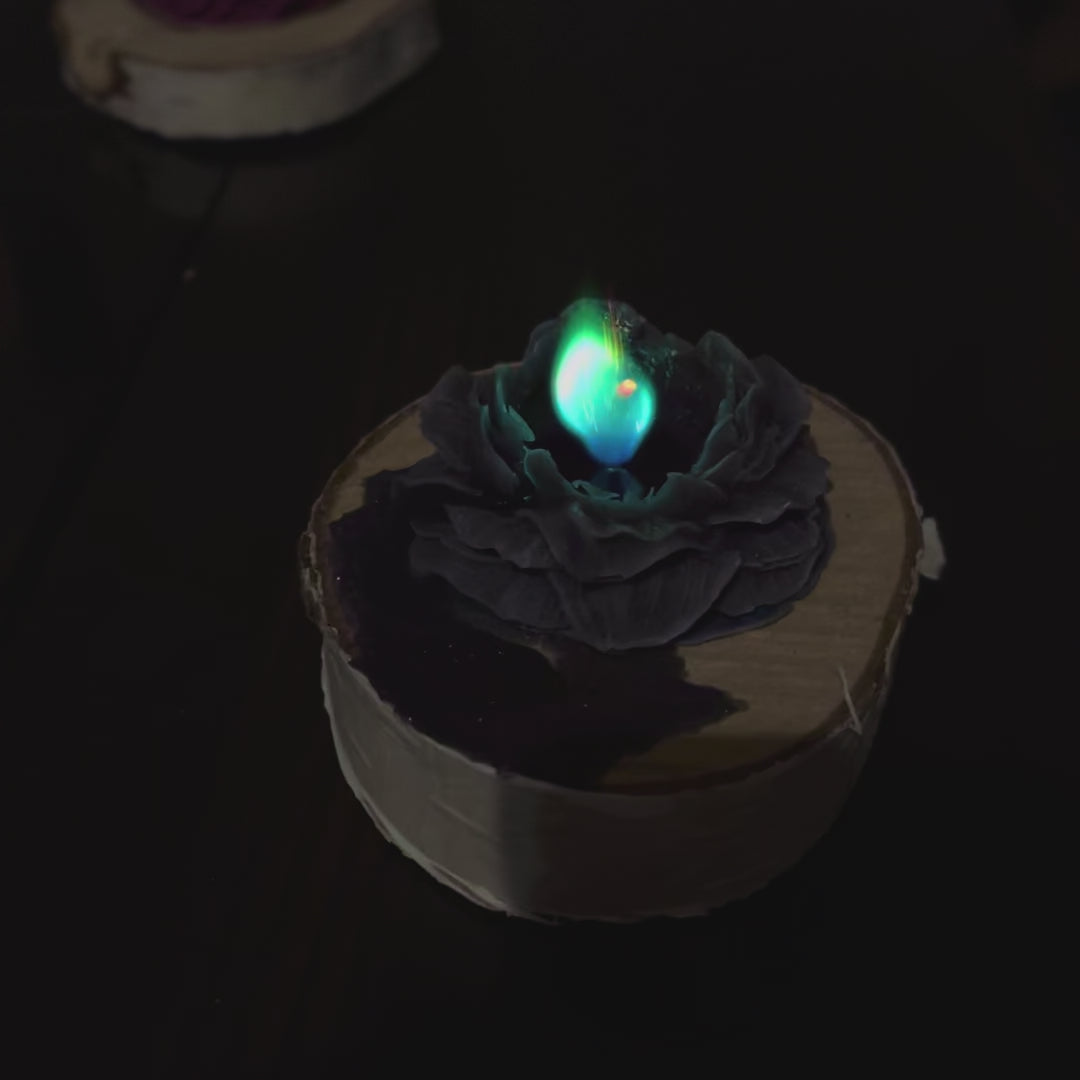 Film przedstawia rozane swiece w ksztalcie rozy z kolorowym plomieniem