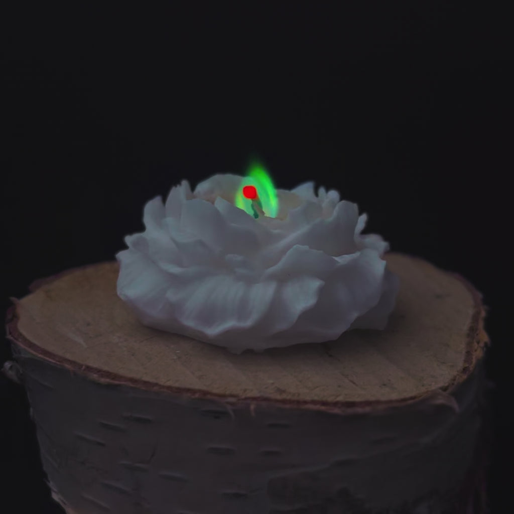 Film przedstawia sniezna swiece w ksztalcie rozy z zielono-niebieskim plomieniem