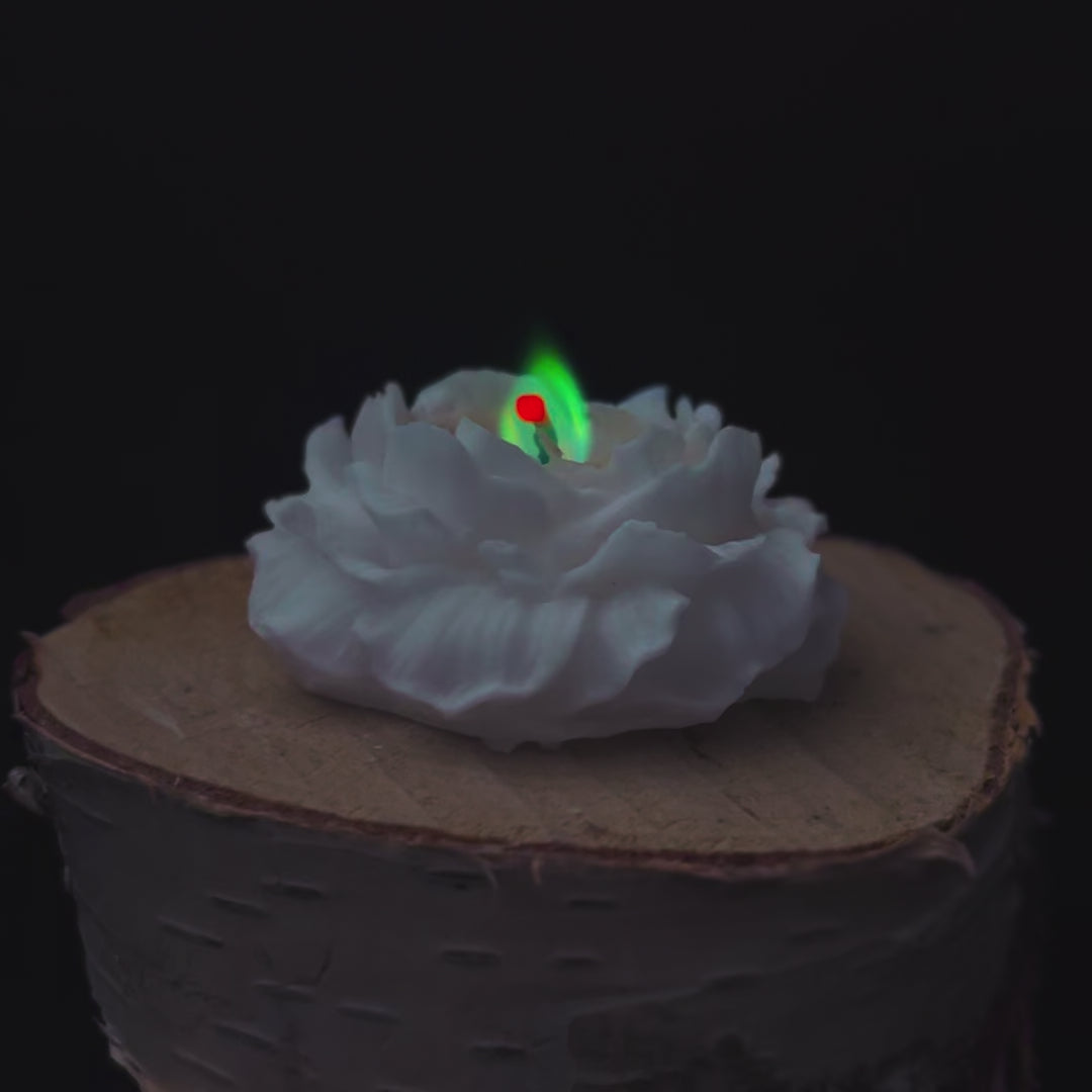 Film przedstawia sniezna swiece w ksztalcie rozy z zielono-niebieskim plomieniem